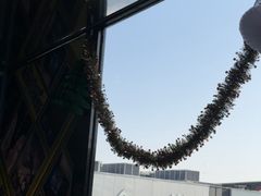 -移动谜城·大笨象密室逃脱(五棵松店)