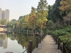 -重庆彩云湖湿地公园