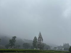 -灵顺寺