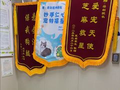 -瑞鹏宠物医院·骨外科·心肾科·肿瘤科(九亭店)
