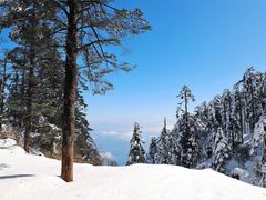 -瓦屋山景区