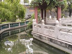 -碧江金楼