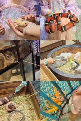 -酷嗒动物文化乐园(cutezoo西溪乐天城店)