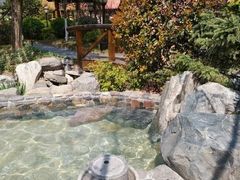 -麦积山温泉