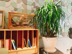 -一尺花园(安和花园店)