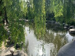 -西安乐游原
