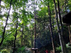 -窦圌山风景区