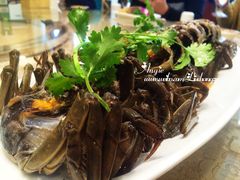 -浦江餐饮·上海菜馆(五四路店)