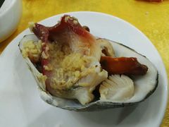 马贝-蚝专家(北滘店)