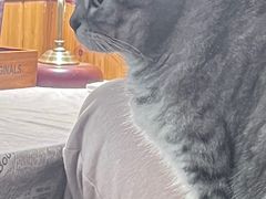 -隅cafe(傅厚岗店)