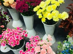 -中国电信(NJ鼓楼天翼广场店)