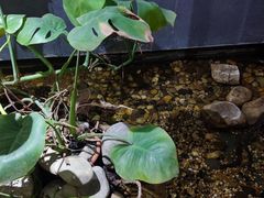 -邈墨茶馆(凤起路店)