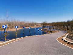 -东郊湿地公园