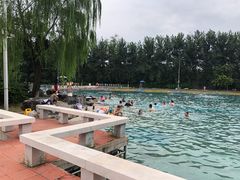 -柳浪游泳场