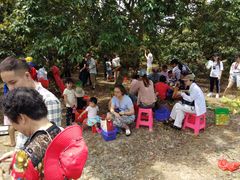 -从化深英荔枝黄皮龙眼采摘园