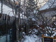 -汉拿山温泉度假酒店