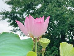 -南京市江宁方山