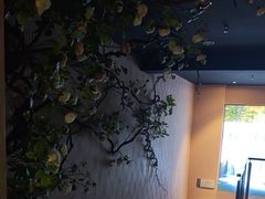 -蓉府金足印象(草市街店)