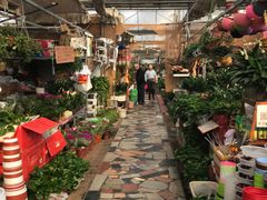 -秦美花卉(天朗·莱茵小城2期店)