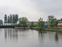 -白洋淀风景区