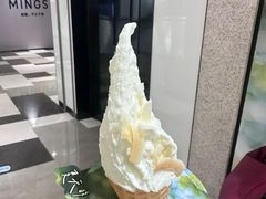 -野人先生Gelato(上海长宁龙之梦店)