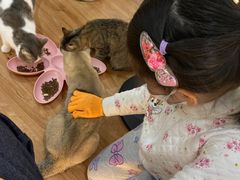 -COLOR PETS 撸猫馆·购猫·猫咖(长风大悦城店)