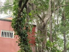 -乌山风景区