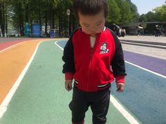 -贡湖湾湿地公园