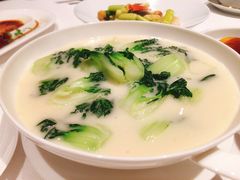 白菜仔-东富酒家(龙湖西溪天街店)