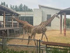 -石家庄市动物园