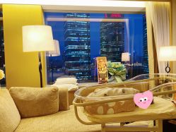 -巍阁高端月子会所