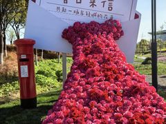 -春花秋色城市公园