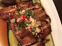-桐花客家创意料理民生店