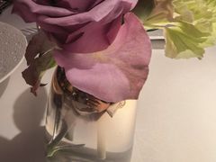 -佐度王子扒房(爱建卓展店)