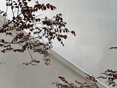 -竹子咖啡bamboo coffee