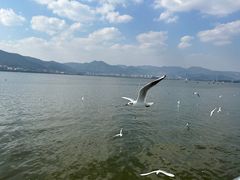-海埂大坝