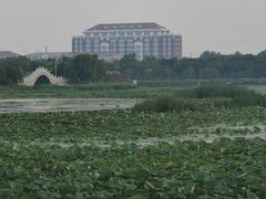 -天津东丽湖风景区
