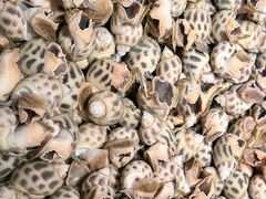 -徐记海鲜(南油永新汇店)