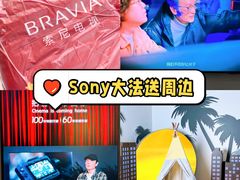 -Sony Store 索尼(上海淮海中路店)