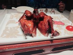 -大鸽饭(岗顶店)