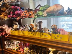 -国家自然博物馆