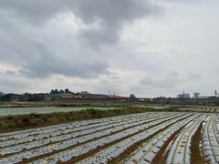 -光明小镇欢乐田园