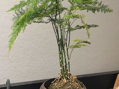 -一江水食府(后湖店)