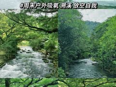 -广州市石门国家森林公园