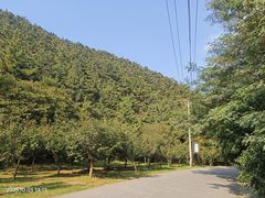 -金龙寺国家森林公园