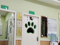 -瑞鹏宠物医院·夜间急症·心超·猫科(祖庙分店)