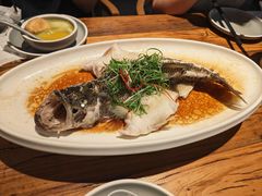 清蒸鲈鱼-YAFEE雅菲·粤菜·湘菜·融合菜(魏公村店)