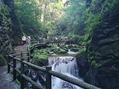 -牛背梁国家森林公园