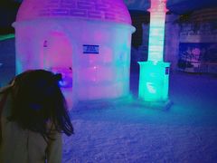-世界之窗阿尔卑斯冰雪世界