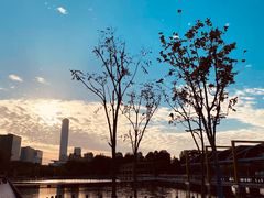 -白塘生态植物园